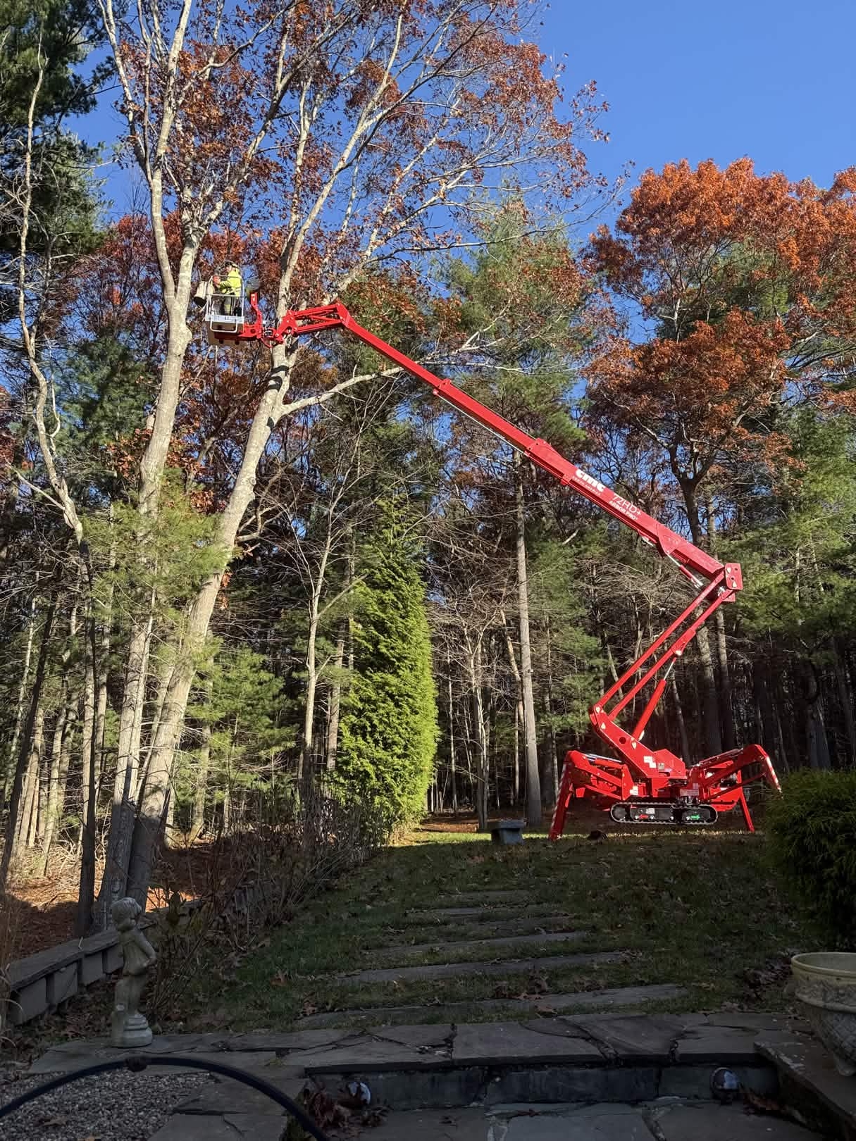 Southeast Arborist emergency tree service work - photo 2