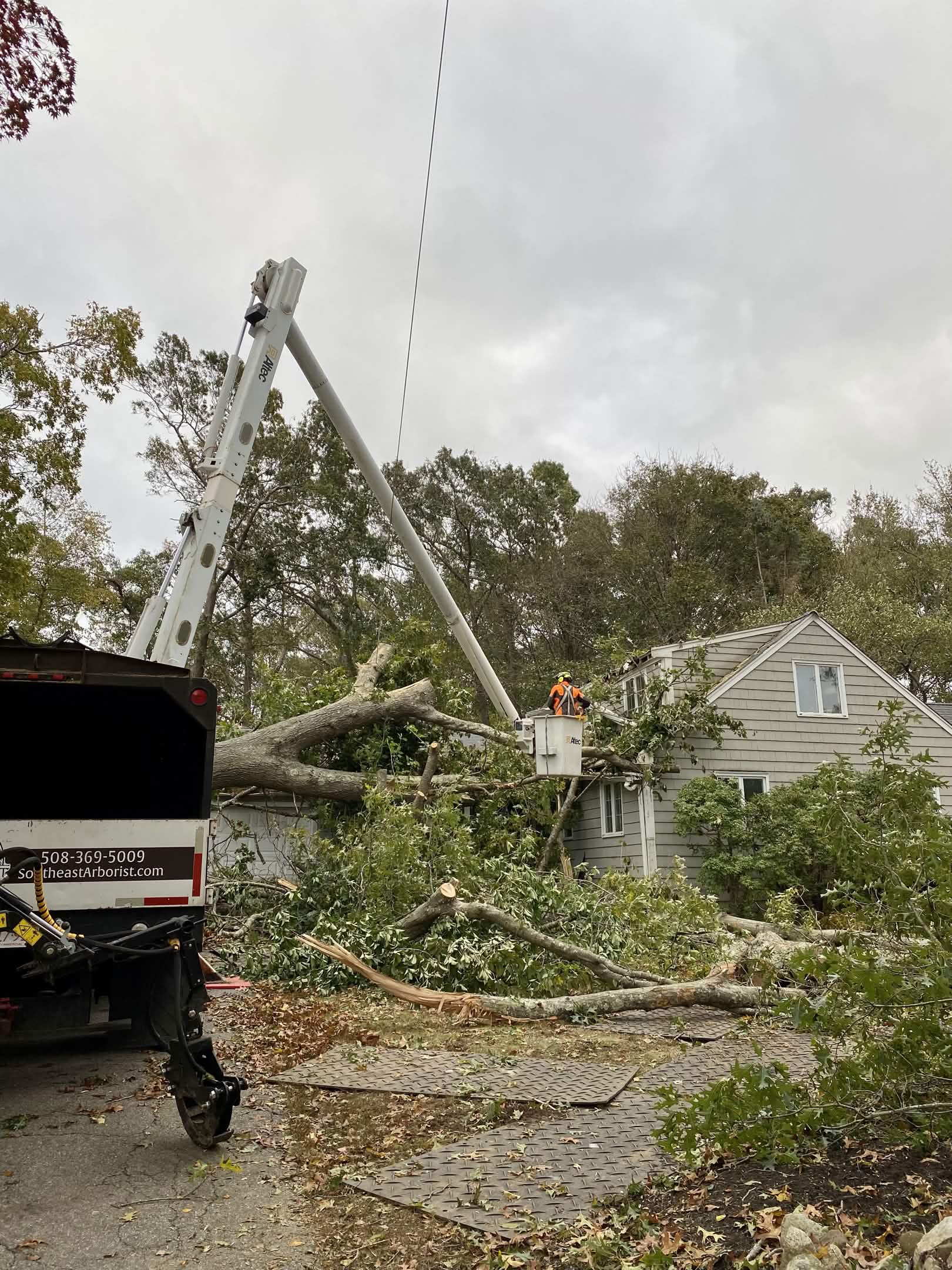 Emergency Tree Service