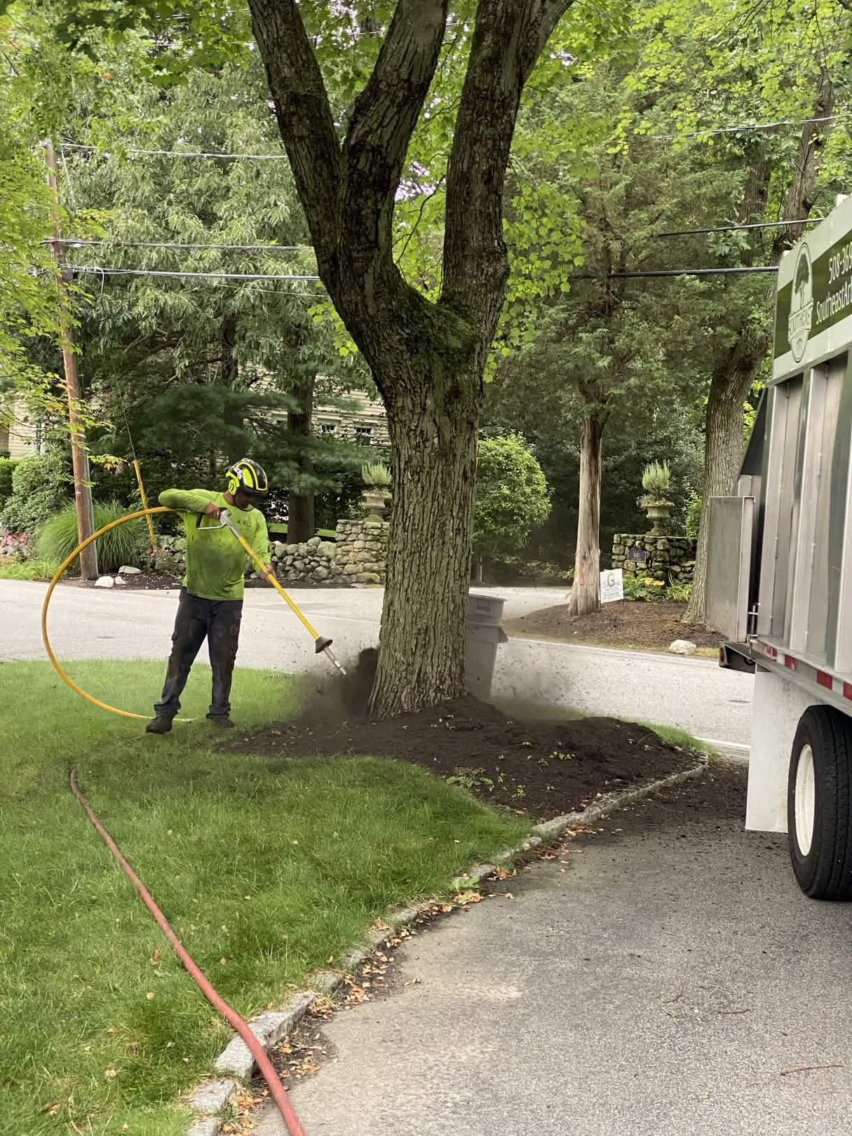 Southeast Arborist stump grinding work - photo 2