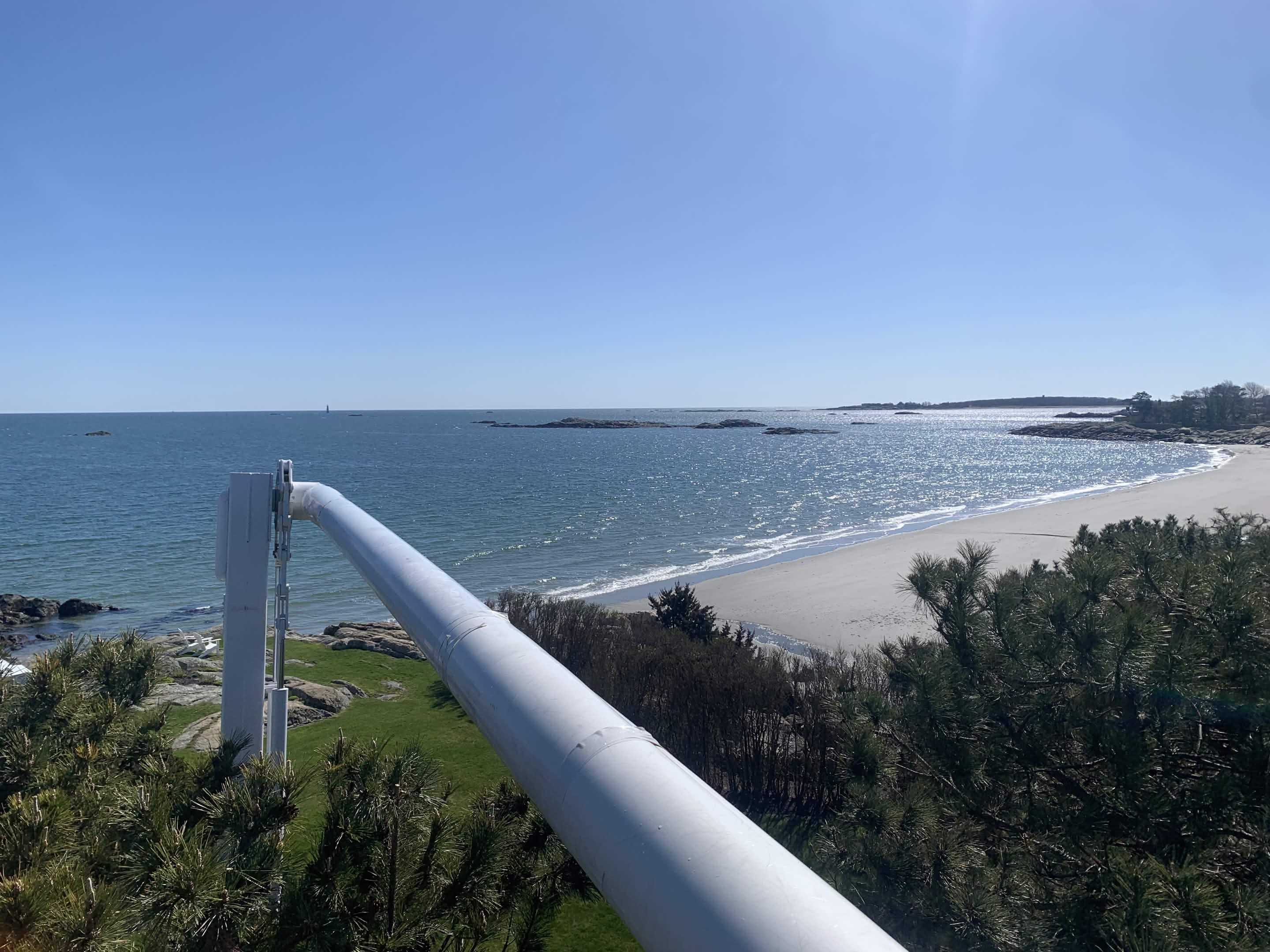 Professional stump grinding - Southeast Arborist