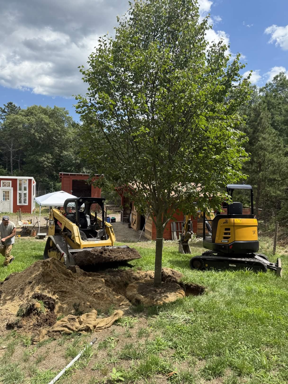 Southeast Arborist stump grinding work - photo 3