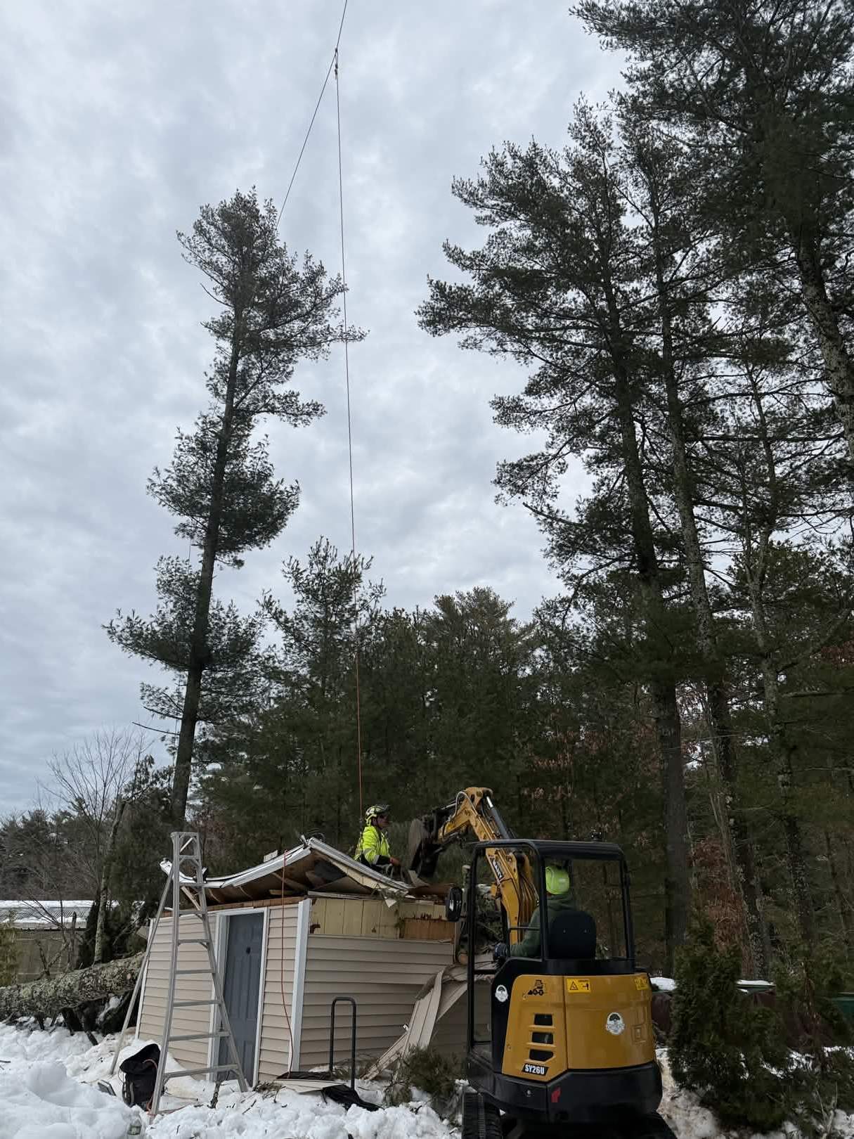 Southeast Arborist emergency tree service work - photo 3