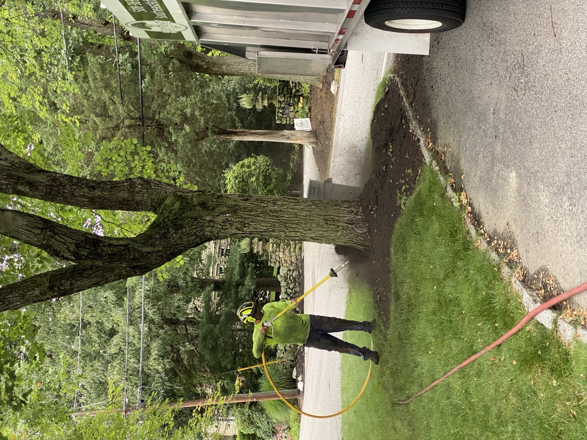 Root Zone Improvement service by Southeast Arborist in South Shore MA